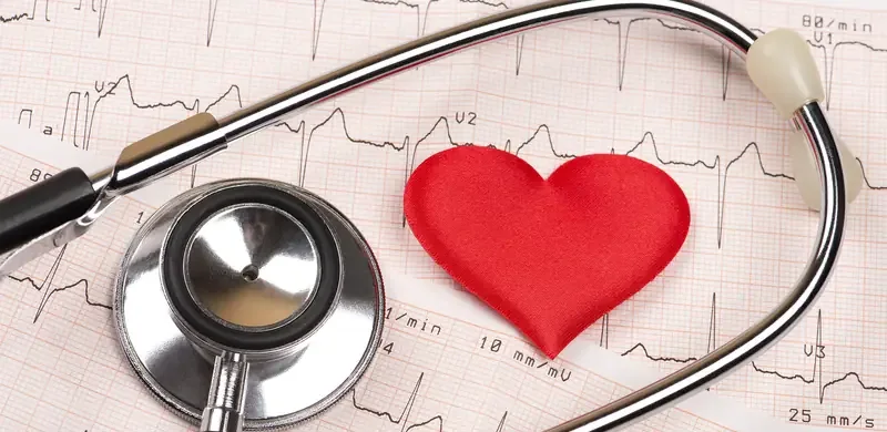 Model srca i stetoskop na EKG zapisu